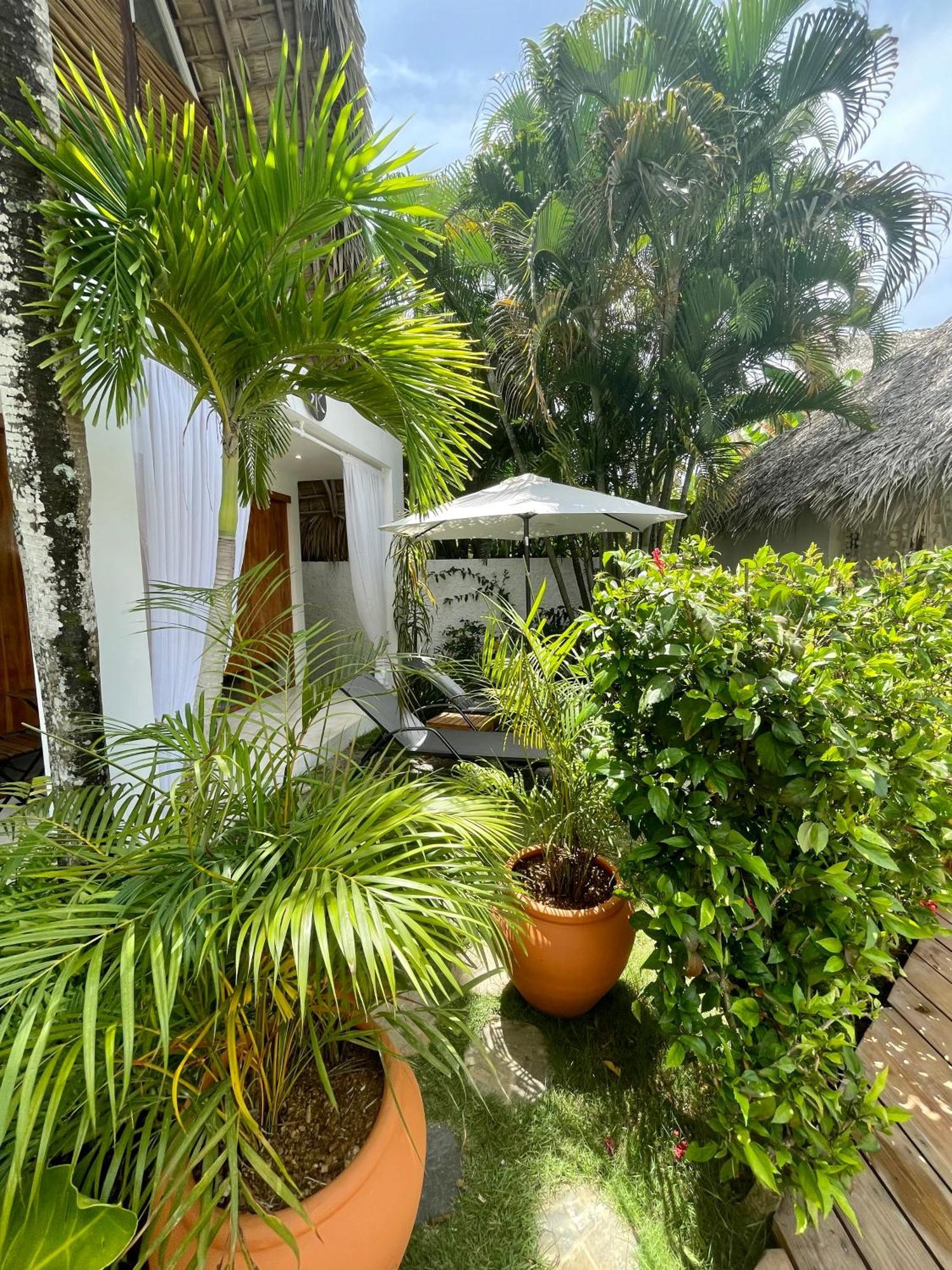 Leeloo Boutique Hotel Las Terrenas Bagian luar foto